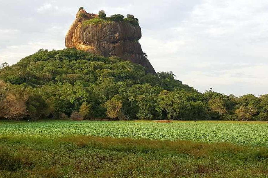 Visit Sri Lanka