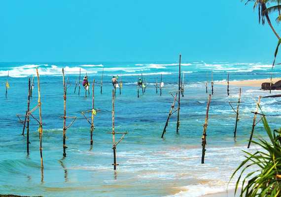 Day 8: Stilt Fishing Village Mirissa  