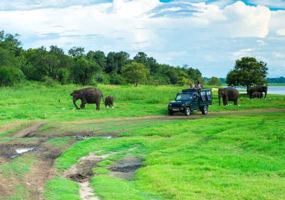 Day 7: Ella and Ravana Waterfalls or Yala Safari  